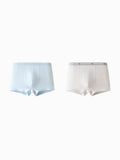 Balabala Boys Underwear Briefs 2 Pack Gray Blue